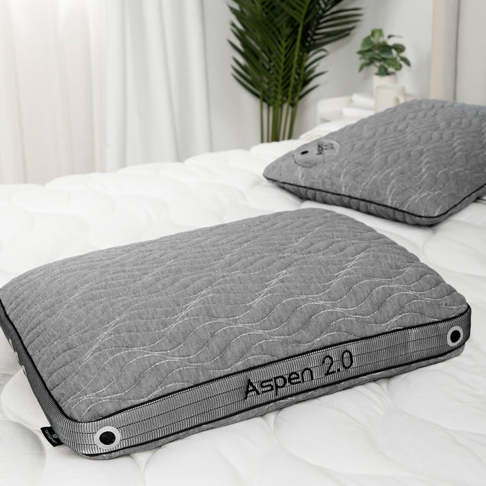 BEDGEAR Aspen 2.0 Performance Pillow – Back Sleeper