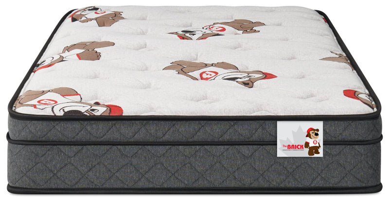 Brickley Eurotop Luxury Firm Twin Mattress