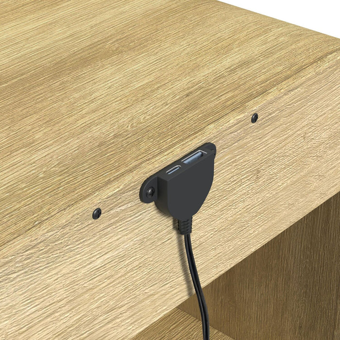 Lenore 24” Modern End Table with Storage, Shelf and USB Port - Natural
