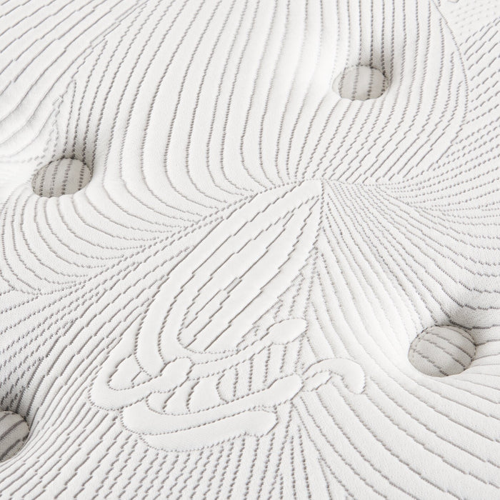 Springwall Encore Imagine Eurotop Plush Queen Mattress 