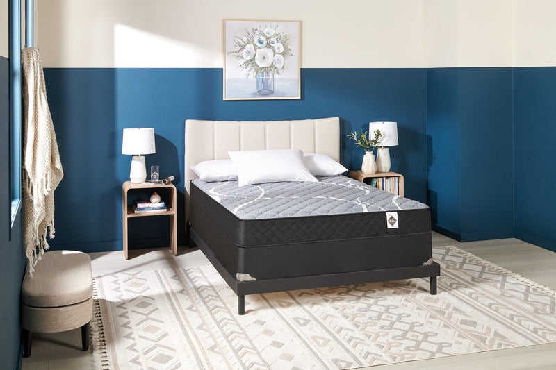 Springwall White Birch Tight Top Firm Queen Mattress-in-a-Box Set