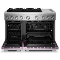 KitchenAid 6.3 Cu. Ft. 6 Burner Dual Fuel Range with Griddle – Wildflower - KFDD948SWF 