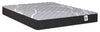 Springwall White Birch Tight Top Firm Twin Mattress-in-a-Box