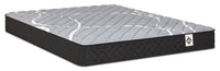 Springwall White Birch Tight Top Firm Twin Mattress-in-a-Box 