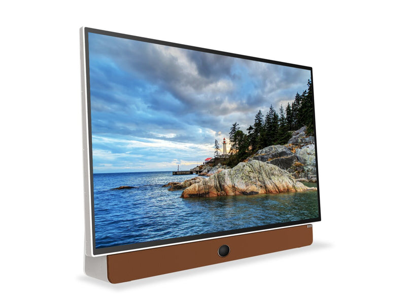 Skyworth 24\" Companion P100 Portable LED Display with Google TV