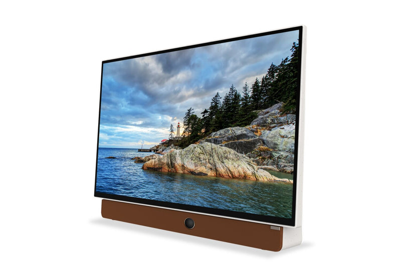 Skyworth 24\" Companion P100 Portable LED Display with Google TV
