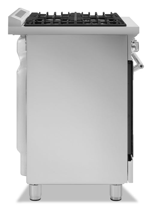 Smeg 2.8 Cu. Ft. Professional Gas Range - SPR24UGGX