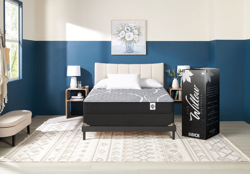 Springwall White Birch Tight Top Firm Queen Mattress-in-a-Box Set