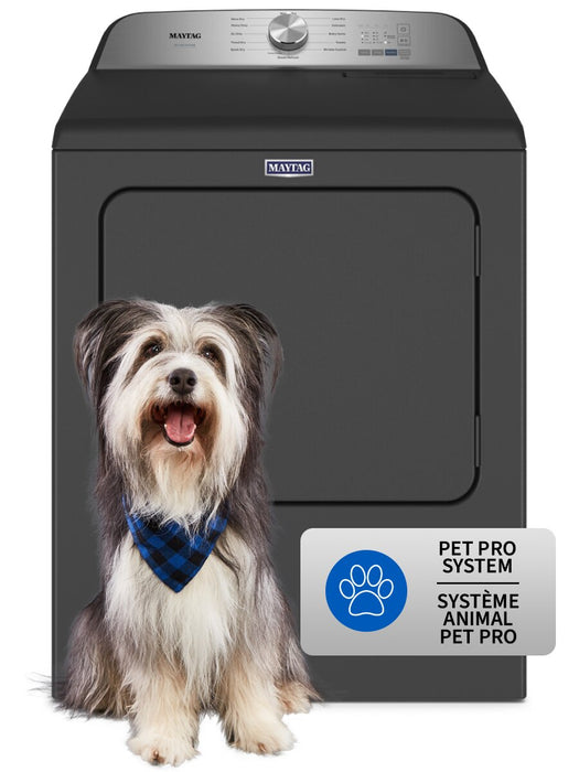 Maytag 7 Cu. Ft. Pet Pro Electric Dryer - Black Shadow - YMED6500MBK 