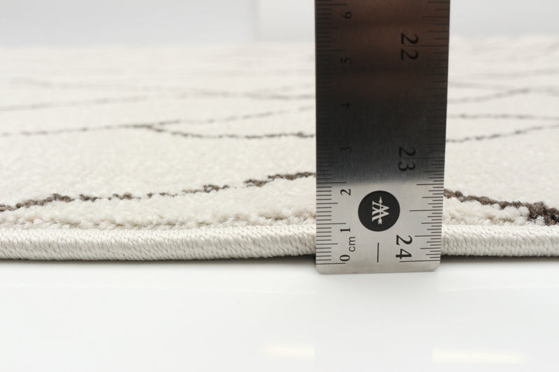 Anas Ivory Area Rug - 5'3\" x 7'3\"
