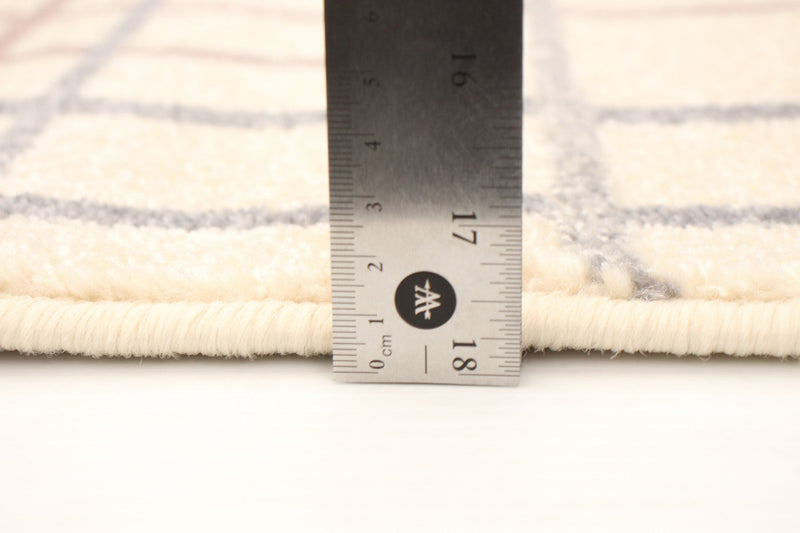 Taite Cream-Silver Area Rug - 3'11\" x 5'7\"