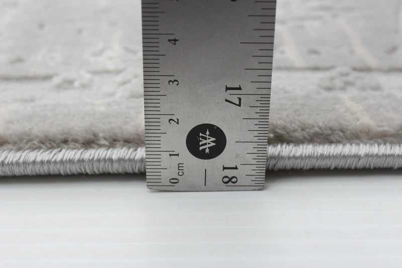 Shaleigh Grey Rug 6'7\" X 9'6\" Area Rug