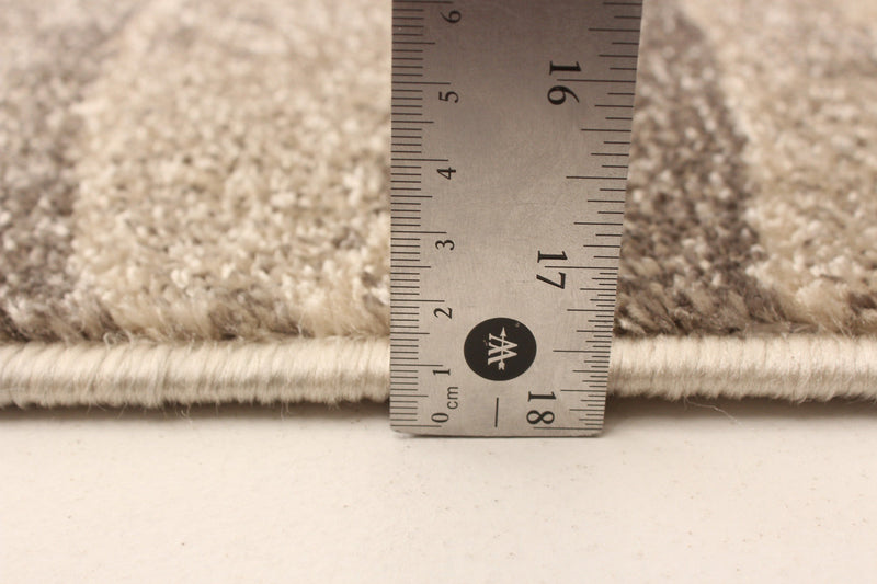 Arusha Ivory / Grey 6'7\" x 9'6\" Area Rug