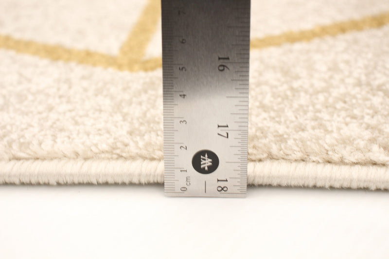 Anandi Ivory-Gold Area Rug - 3'11\" x 5'7\"