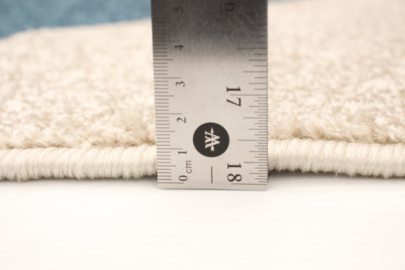 Carson Blue Area Rug - 3'11\" x 5'7\"