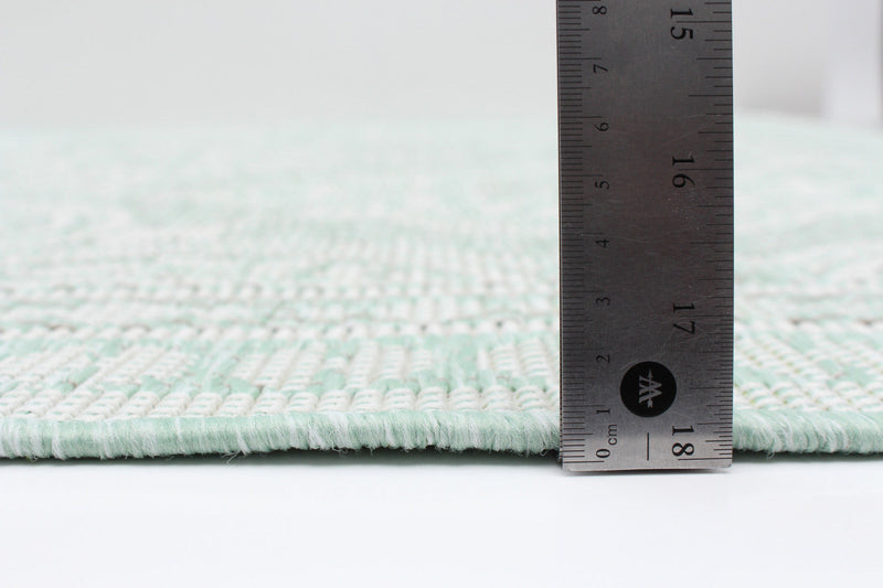 Neisha Traditional Mint Rug 5'3\" X 7'3\" Area Rug