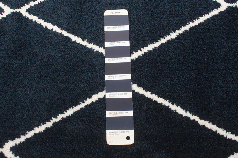 August Navy-White Area Rug - 5'3\" x 7'3\"