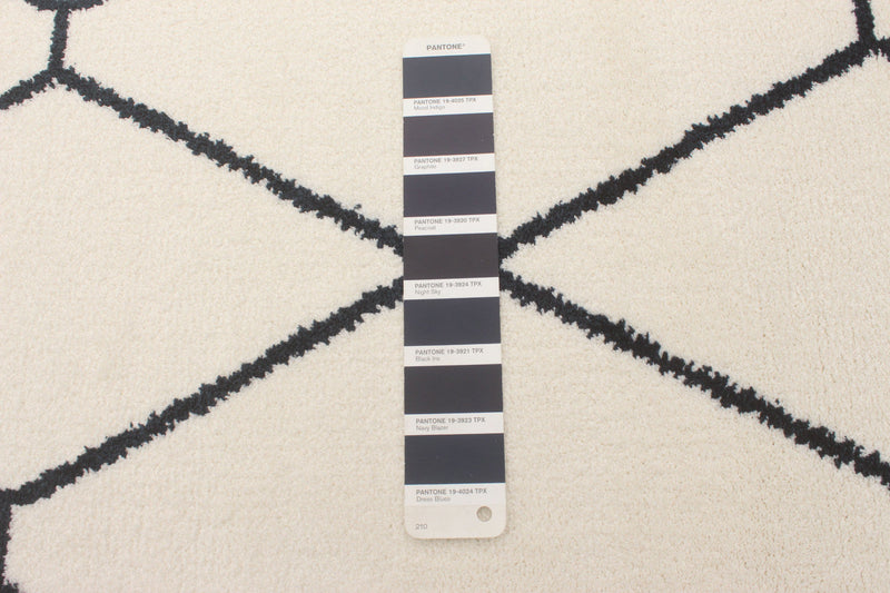 August White-Navy 5'3\" x 7'3\" Area Rug
