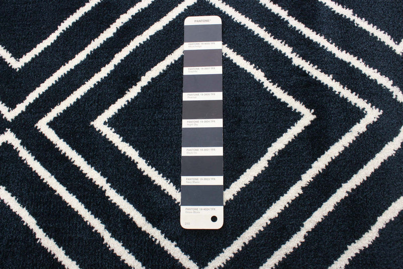 August Geod Navy-White 6'7\" x 9'6\" Area Rug