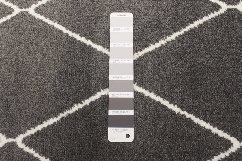 August Dark Grey-White 6'7\" x 9'6\" Area Rug