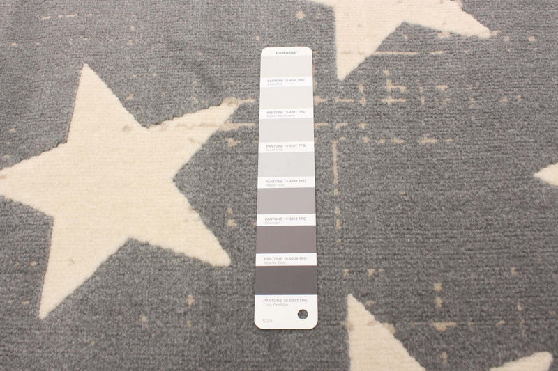 Ira Grey 2'8\" x 4'11\" Area Rug