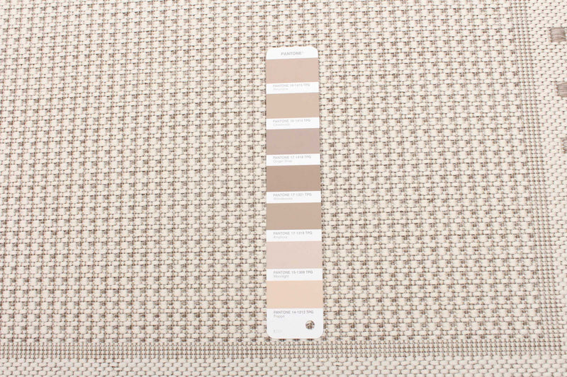 Clementine Ivory Area Rug - 2'2\" X 6'7\" 