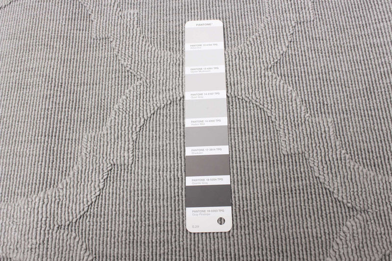  Sophie Grey Area Rug - 2'8\" x 4'11\"