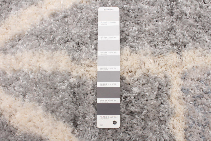 Bellanca Grey Area Rug - 3'11\" X 5'7\"