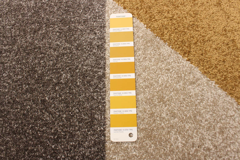 Hadley Grey / Gold 5'3\" x 7'3\" Area Rug