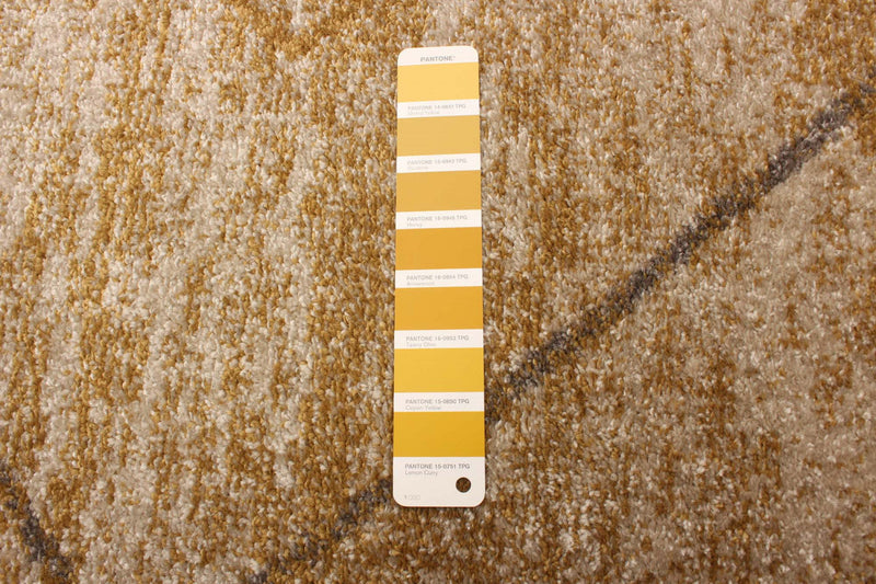 Grande Ivory/Gold 3'11\" X 5'7\" Area Rug