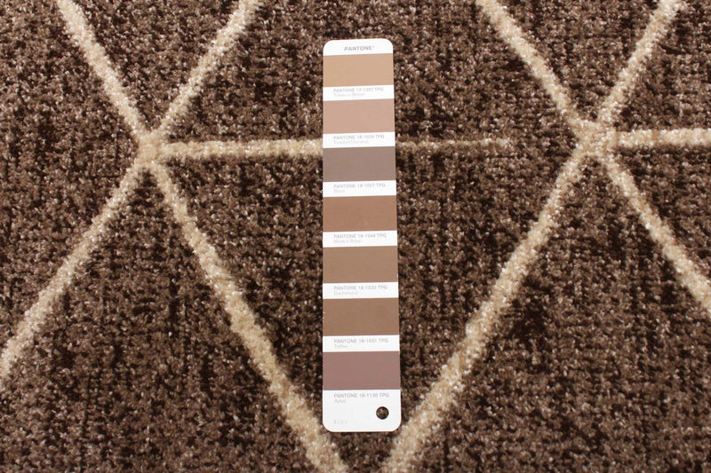 Davina Chocolate Area Rug - 6'7\" X 9'10\" 