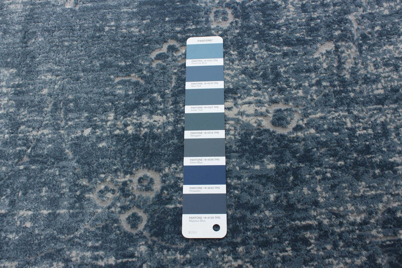 Dayna Blue Area Rug - 3'11\" X 5'11\" 