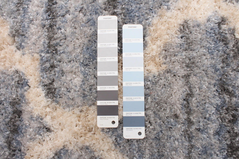 Dimity Grey/Light Blue Area Rug - 5'3\" x 7'3\"