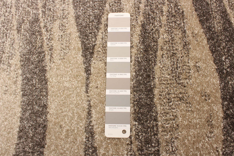 Arusha Ivory / Grey 6'7\" x 9'6\" Area Rug