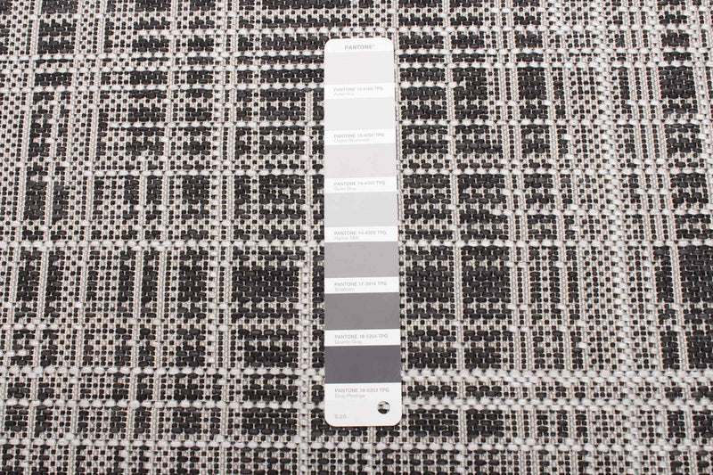 Panthea Black Area Rug - 3'3\" X 4'7\" 