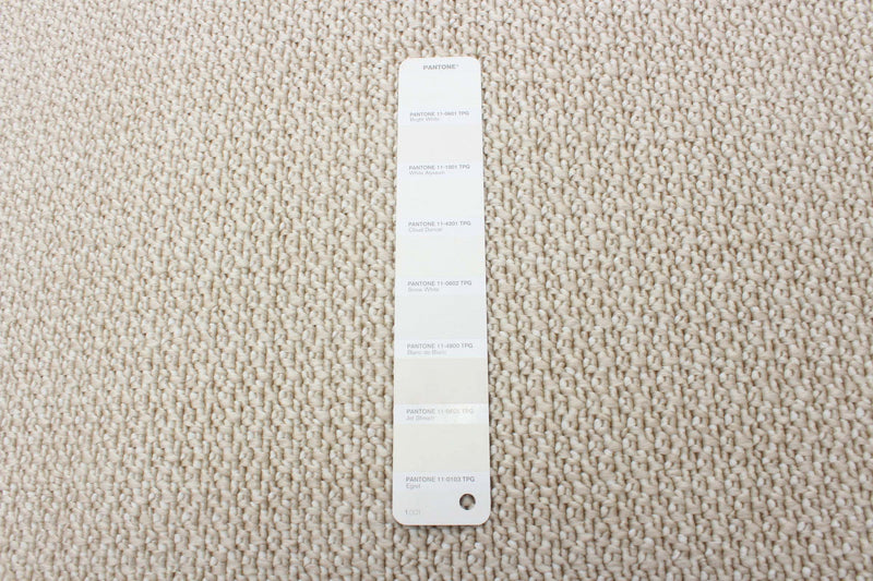 MarinaIvory 6'7\" x 9'6\" Area Rug