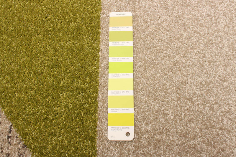 Hadley Grey / Green 6'7\" x 9'6\" Area Rug
