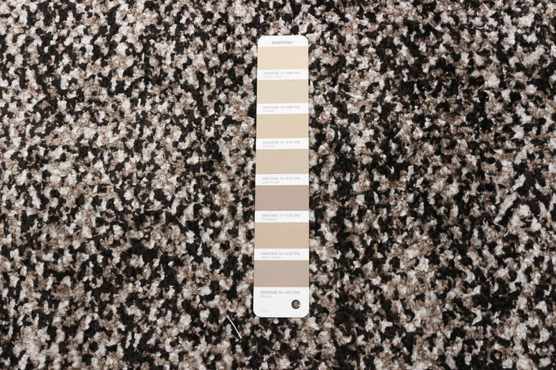 Vera Earth Taupe/Black Area Rug - 5'2\" x 7'5\"