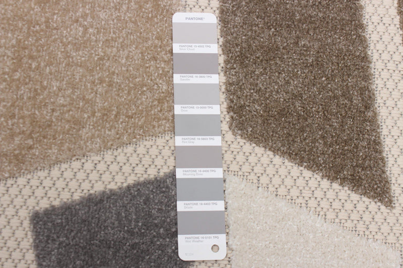 Celestina Ivory Area Rug - 3'11\" X 5'7\" 