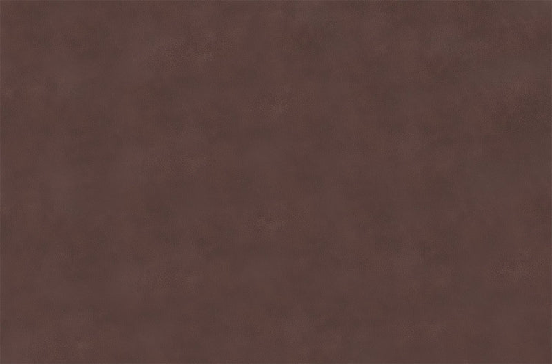 Beau Genuine Leather Power Reclining Sofa - Burgundy