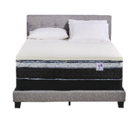 Springwall 2