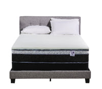 Springwall 2