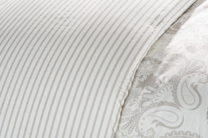 Indie Paisley 3-Piece Full/Queen Comforter Set