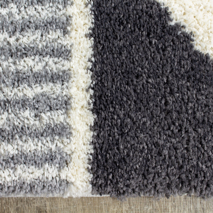 Dayton Shag Area Rug - 5' 3\" x 7' 7\"