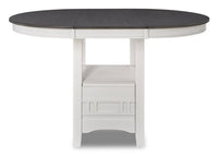 Dena Counter-Height Dining Table with 42-60